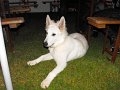 MCE Treffen 2011 - 065